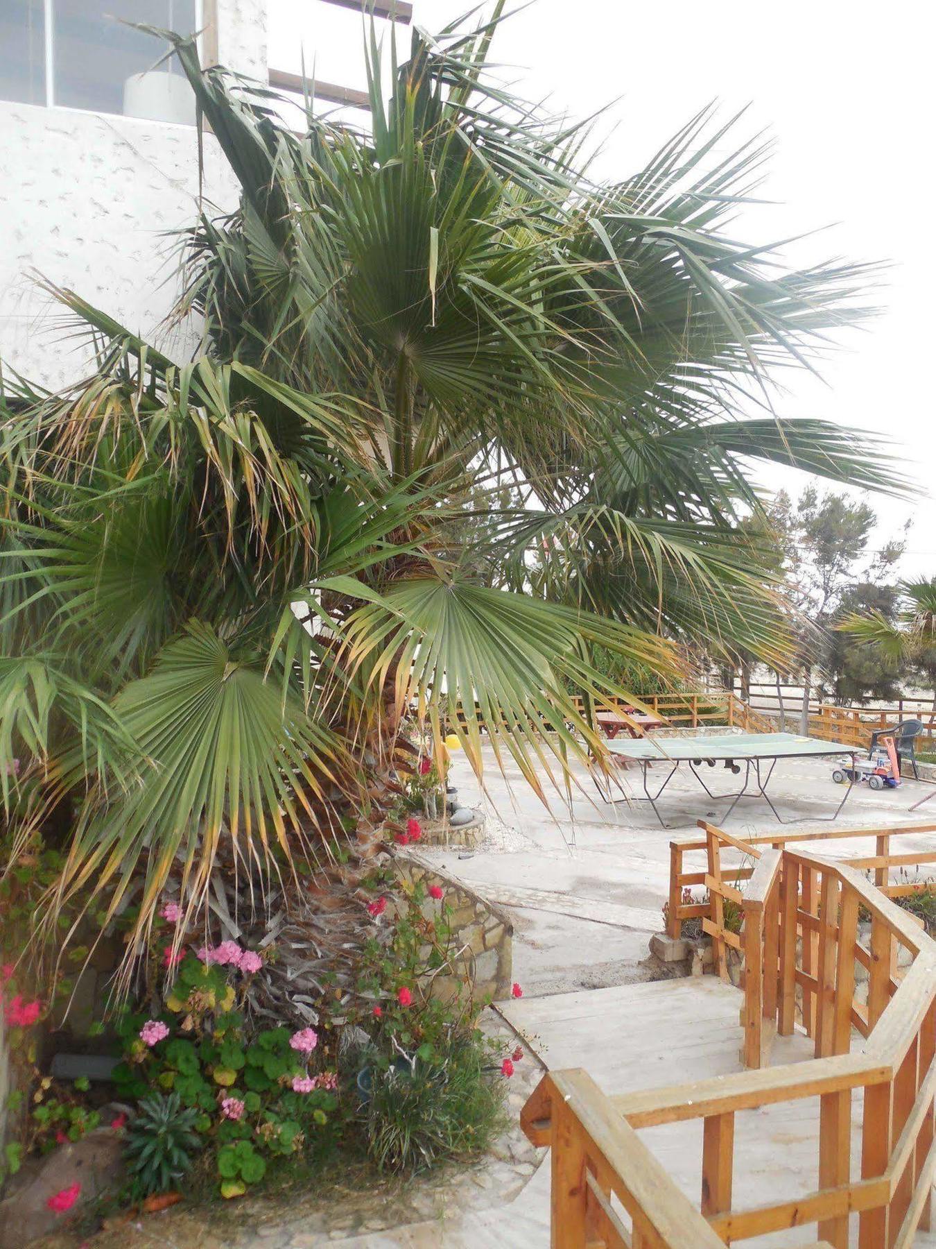 Hotel & Cabanas El Mirador Caldera Kültér fotó